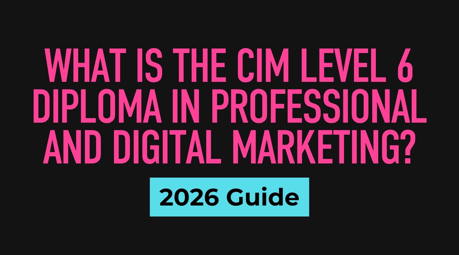 CIM Level 6 Diploma in Professional and Digital Marketing overview
