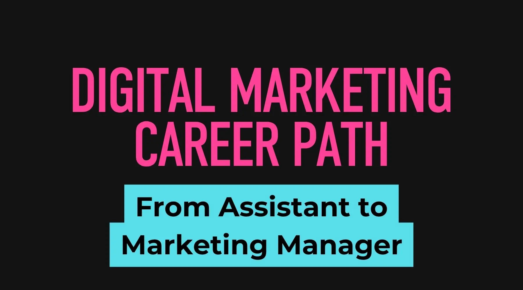 Digital marketing career path from assistant to marketing manager