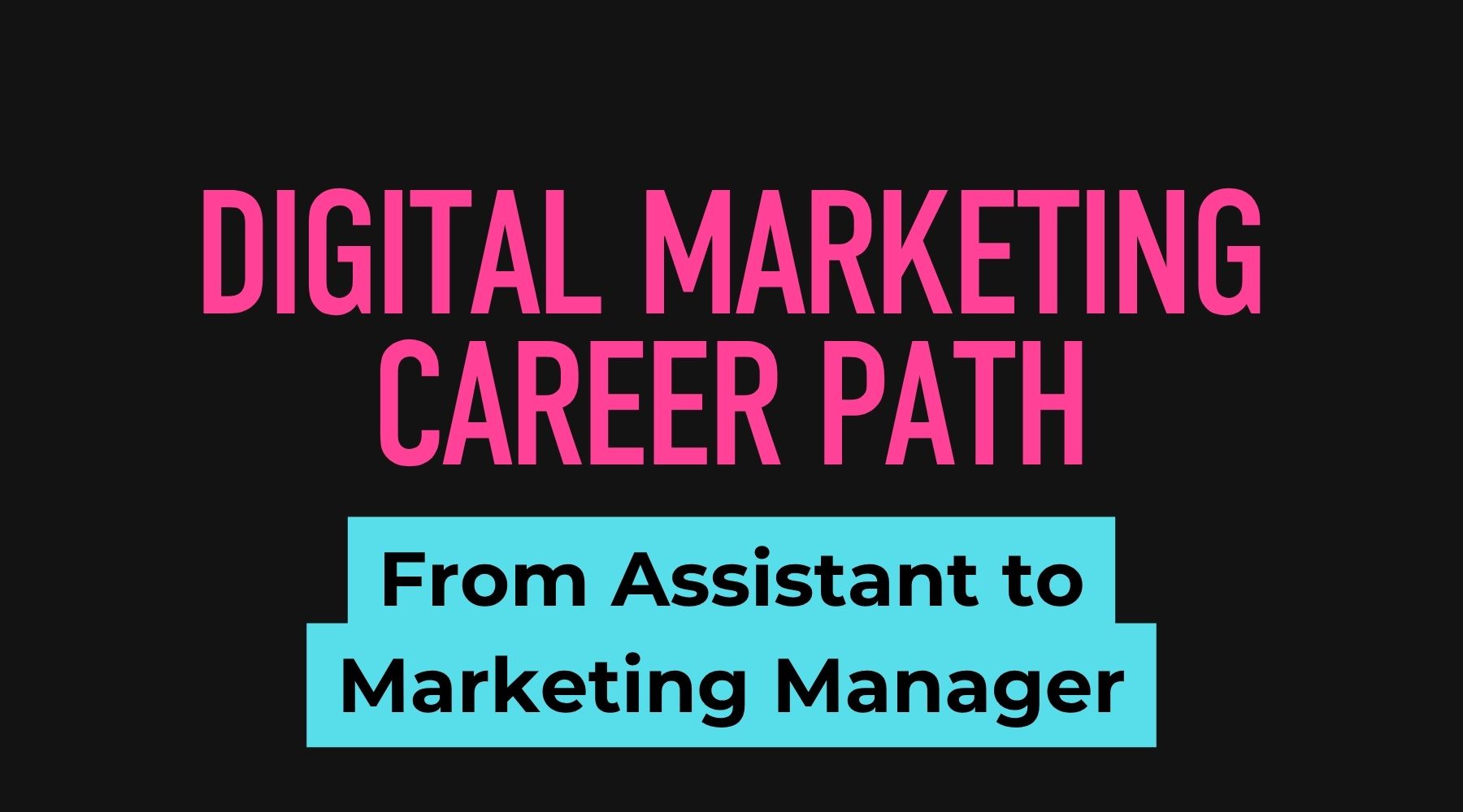 Digital marketing career path from assistant to marketing manager